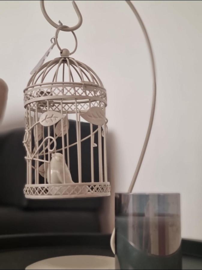 Stella Apartment Sibenik Charm&History United מראה חיצוני תמונה