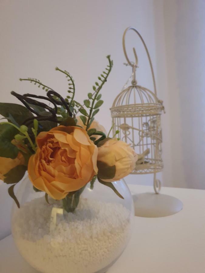 Stella Apartment Sibenik Charm&History United מראה חיצוני תמונה
