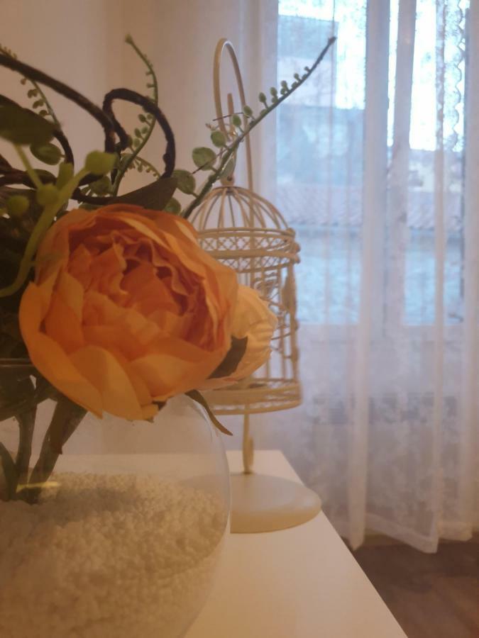 Stella Apartment Sibenik Charm&History United מראה חיצוני תמונה