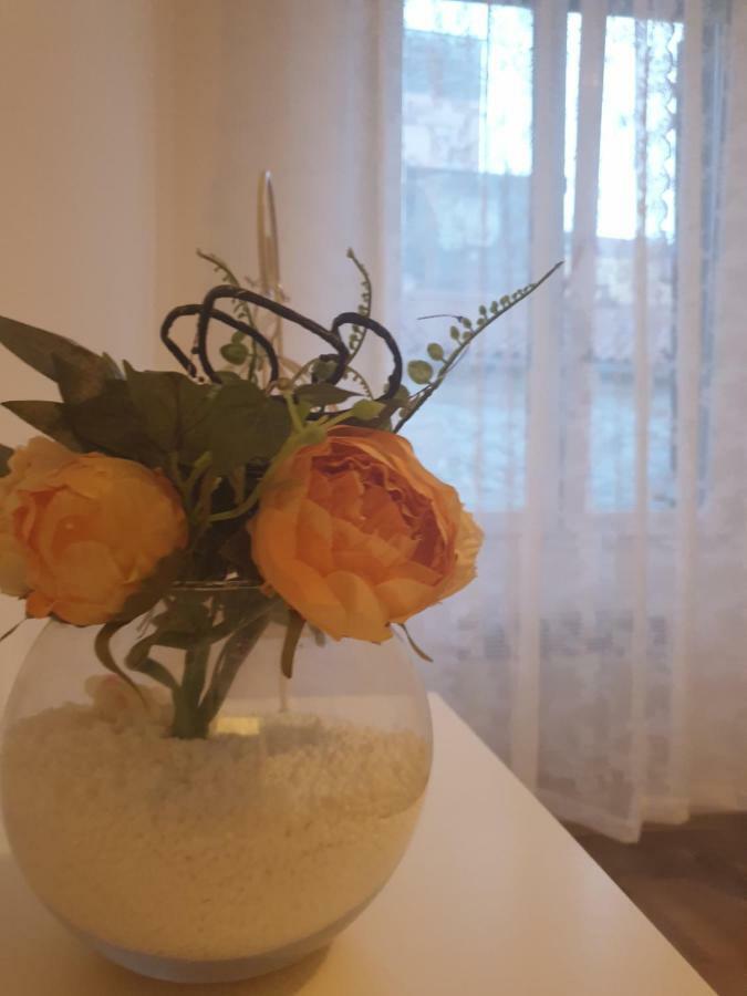Stella Apartment Sibenik Charm&History United מראה חיצוני תמונה
